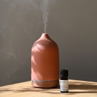 Diffuser Blend 10ml