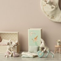 Tooth fairy mouse - Tandenfee met tandendoosje