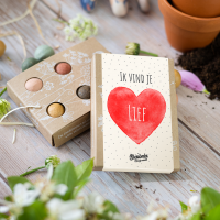 Ik vind je lief - Blossombs Giftbox mini