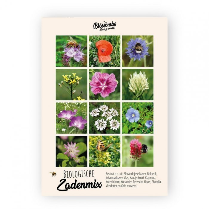 Hooray Party! - Blossombs Giftbox M