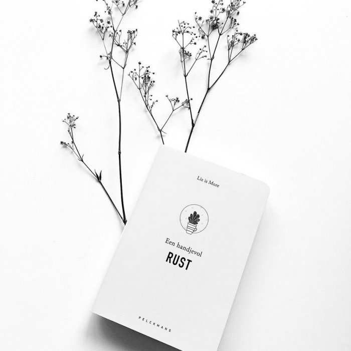 Boek 'Een handjevol Rust'